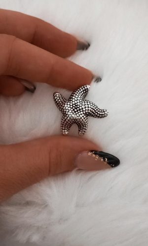 Estrella de mar Inflada