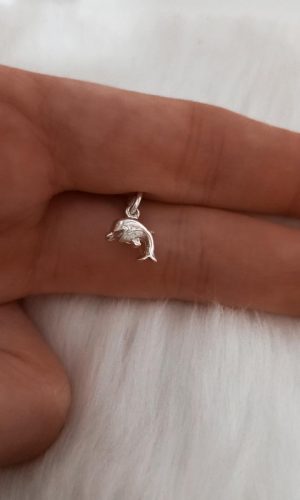 Mini Delfin