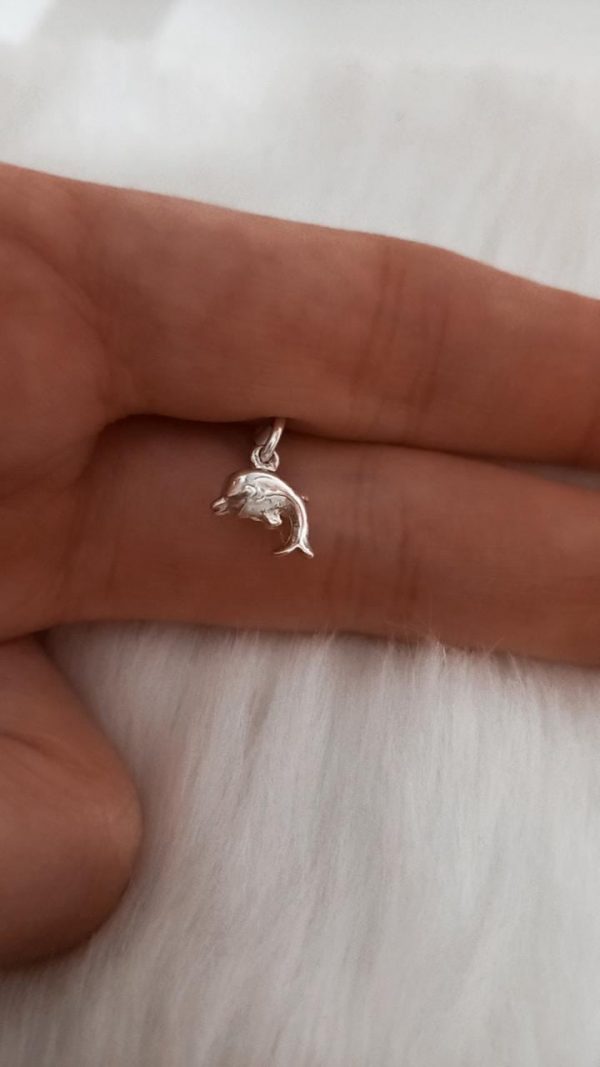 Mini Delfin