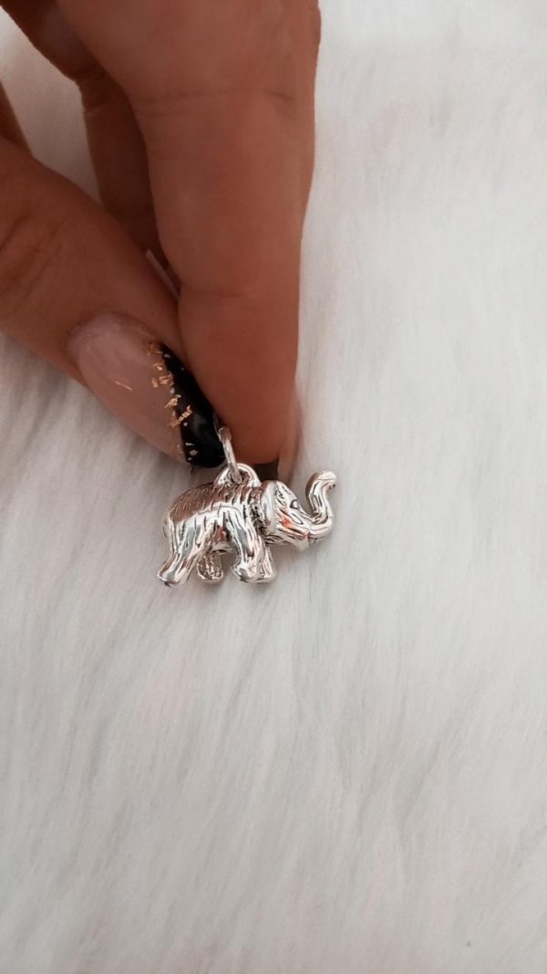 Elefante Inflado