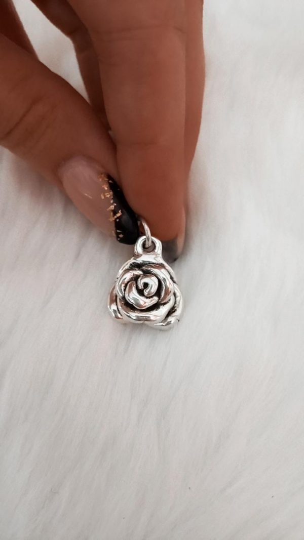 Rosa Inflada