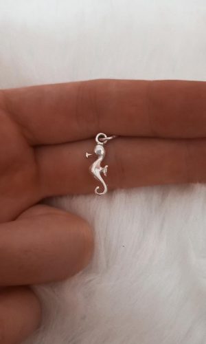 Mini caballito de mar