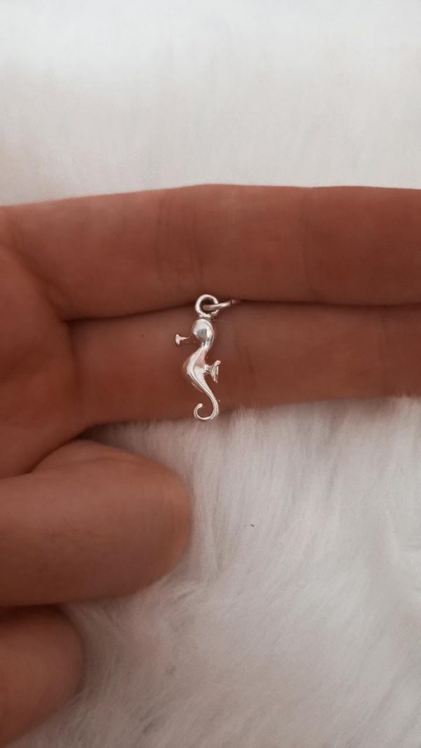 Mini caballito de mar