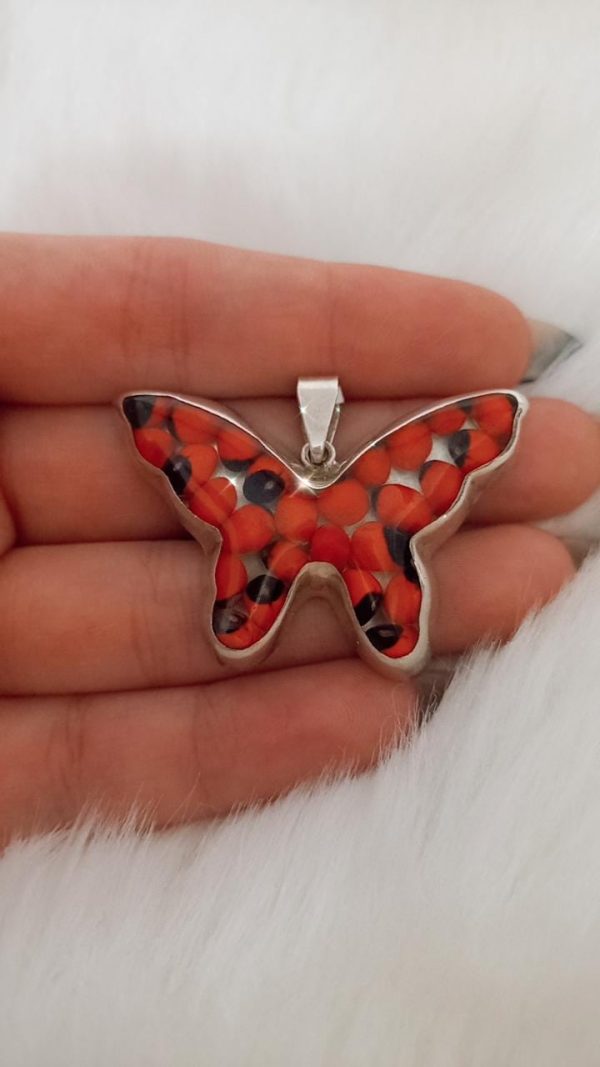Mariposa huayruro