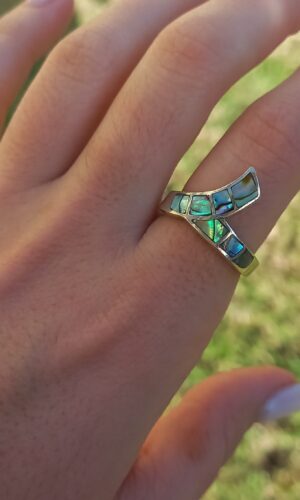 Holo verde nº17