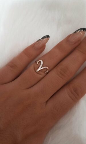 Aries nº12