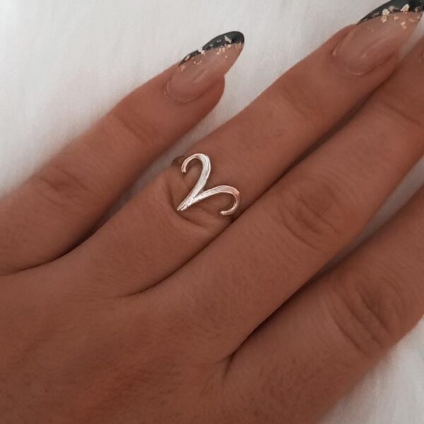 Aries nº12