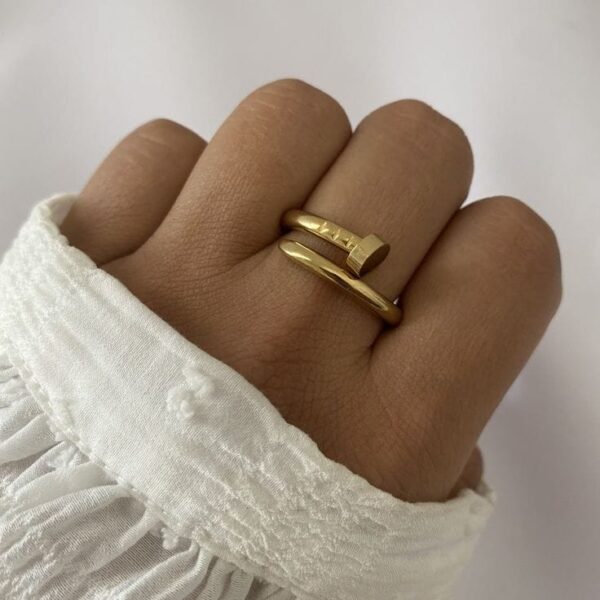 Anillo clavo cartier (T.17)